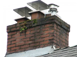 chimney-cap-spark-arrestor-image-cherry-hill-nj-masons-chimney-service