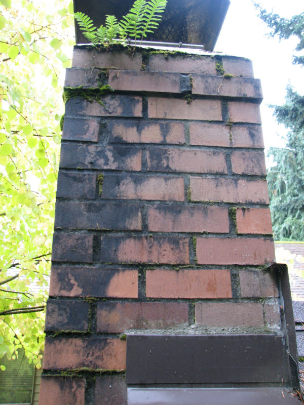 Identifying Chimney Discoloration