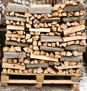 Proper firewood storage - Cherry Hill NJ - Mason's Chimney Service