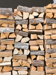 Seasoned Firewood is Necessary - Cherry Hill NJ - Mason's Chimney