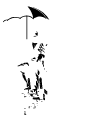 Member National Chimney Sweep Guild Logo
