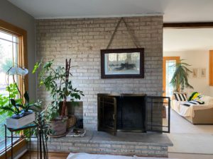 Mason's Chimney Service - Virtual Assessment - Complete View of Fireplace or Stove Virtual Assessment Complete View of Fireplace or Stove